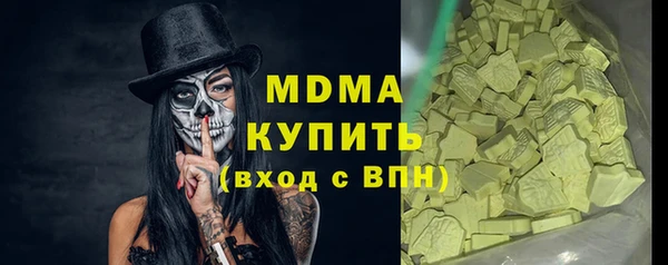 индика Вяземский