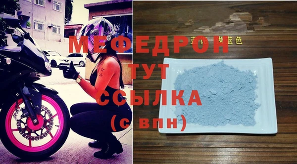 индика Вяземский